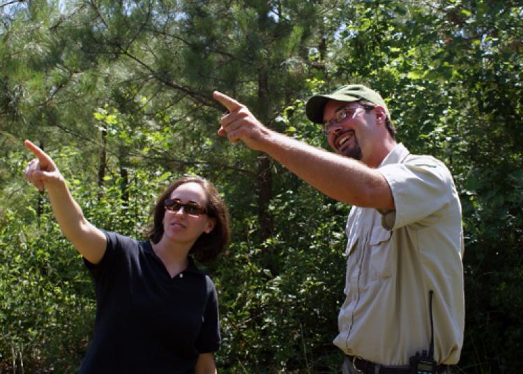 forester helps landowner