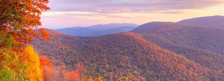 The Cumberland Plateau My Land Plan   Cumberland Fall 2 0 